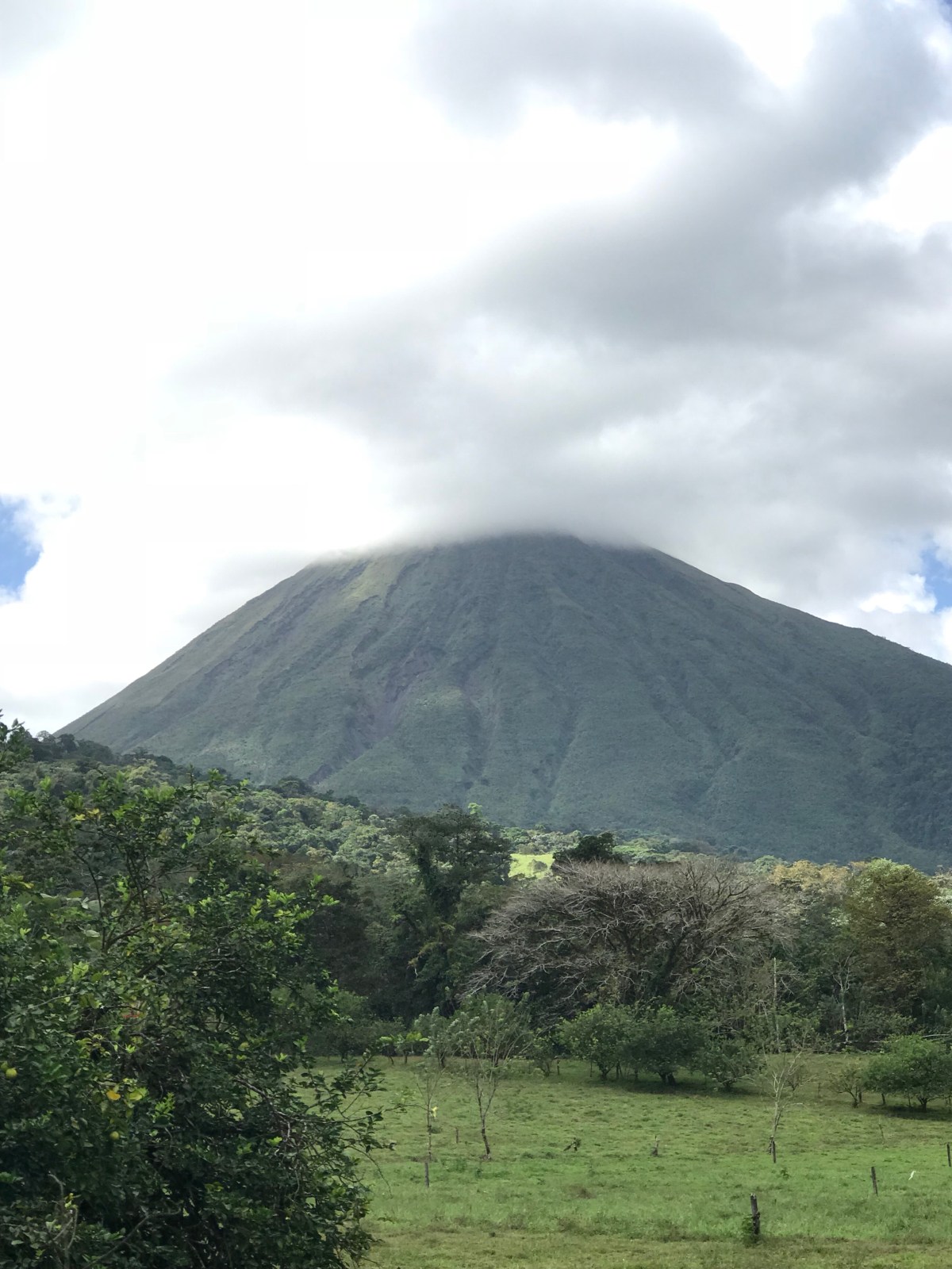 Christmas in January