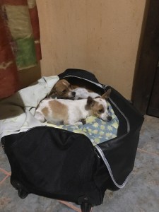 7651e589-ad30-49b7-b087-77f08b0290b7